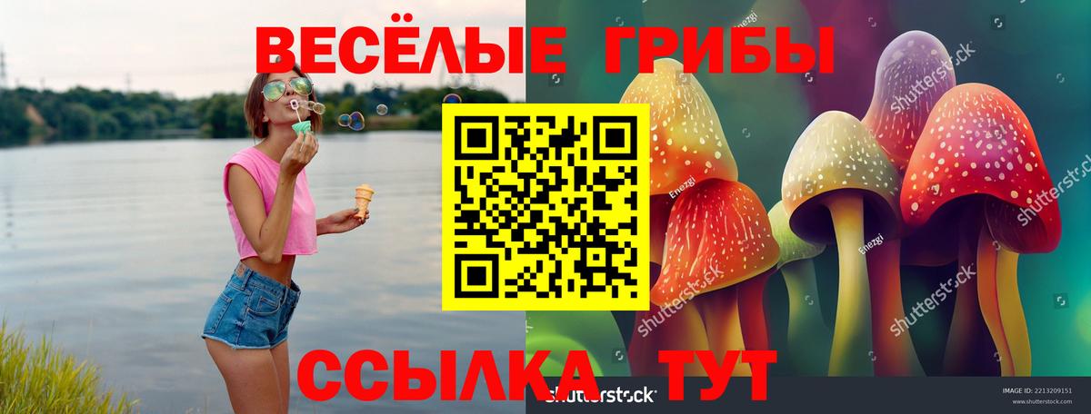 Псилоцибиновые грибы мицелий Первоуральск